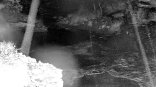 Still 1 from this detection