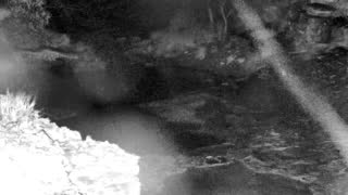 Still 1 from this detection