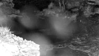 Still 1 from this detection