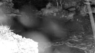 Still 1 from this detection