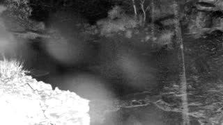Still 1 from this detection
