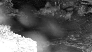 Still 1 from this detection