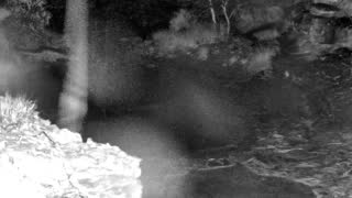 Still 1 from this detection