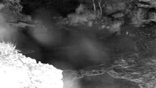 Still 1 from this detection