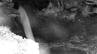 Still 1 from this detection