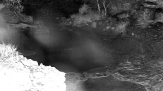 Still 1 from this detection