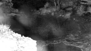 Still 1 from this detection