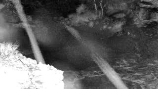 Still 1 from this detection