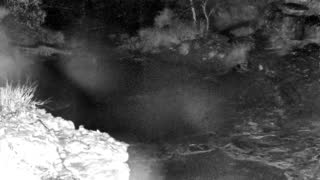 Still 1 from this detection