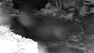 Still 1 from this detection