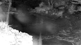 Still 1 from this detection