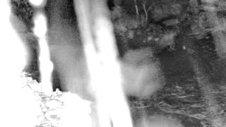 Still 1 from this detection