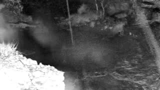 Still 1 from this detection