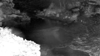 Still 1 from this detection