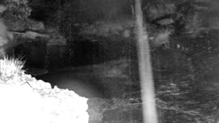 Still 1 from this detection