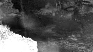 Still 1 from this detection