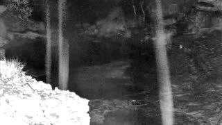 Still 1 from this detection
