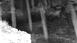 Still 1 from this detection