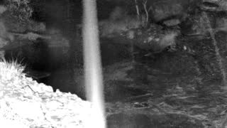 Still 1 from this detection