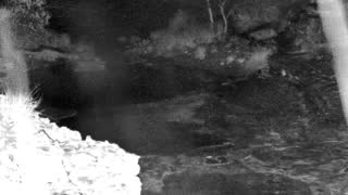 Still 1 from this detection