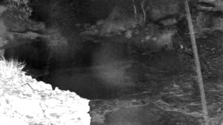 Still 1 from this detection