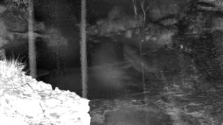 Still 1 from this detection