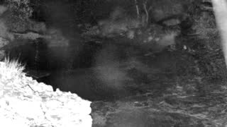 Still 1 from this detection