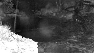 Still 1 from this detection