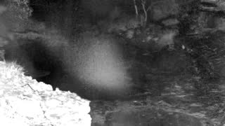 Still 1 from this detection