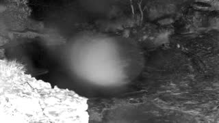 Still 1 from this detection