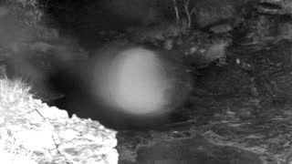 Still 1 from this detection