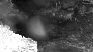 Still 1 from this detection