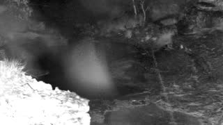 Still 1 from this detection