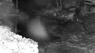 Still 1 from this detection