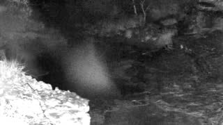 Still 1 from this detection