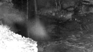 Still 1 from this detection
