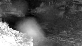 Still 1 from this detection