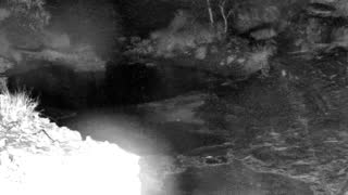 Still 1 from this detection