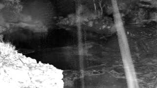 Still 1 from this detection