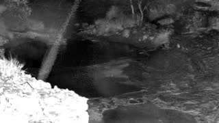 Still 1 from this detection