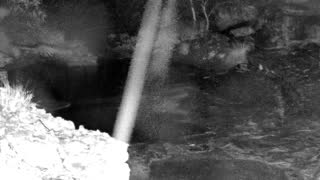 Still 1 from this detection