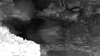 Still 1 from this detection