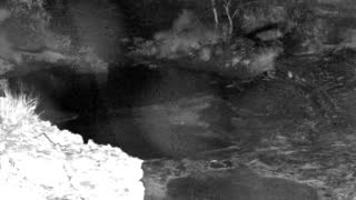 Still 1 from this detection