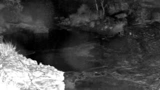 Still 1 from this detection