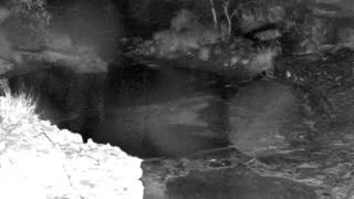 Still 1 from this detection