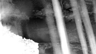 Still 1 from this detection