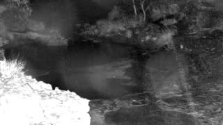 Still 1 from this detection