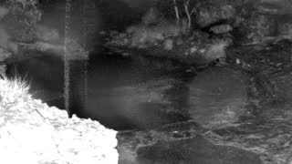 Still 1 from this detection