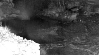Still 1 from this detection