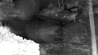 Still 1 from this detection